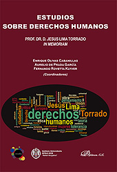 eBook, Estudios sobre derechos humanos : prof. dr. D. Jesus Lima Torrado in memoriam, Dykinson