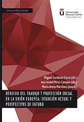 E-book, Derecho del trabajo y protección social en la Unión Europea : situación actual y perspectivas de futuro, Cardenal Carro, Miguel, Dykinson