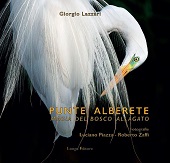 E-book, Punte Alberete : magia del bosco allagato, Lazzari, Giorgio, Longo