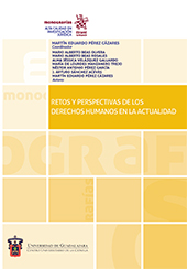 eBook, Retos y perspectivas de los derechos humanos en la actualidad, Rivero Ysern, Enrique, Tirant lo Blanch