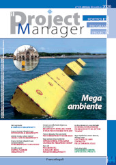 Article, M come Mose e megaproject, Franco Angeli