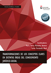 E-book, Transformaciones de los conceptos claves en distintas áreas del conocimiento jurídico-social, Dykinson
