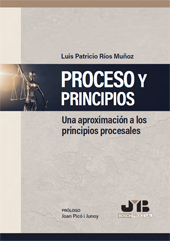 E-book, Proceso y principios : una aproximación a los principios procesales, J.M. Bosch Editor
