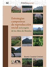 E-book, Estrategias campesinas de reproducción social en la región de los Altos de Morelos, Bonilla Artigas Editores