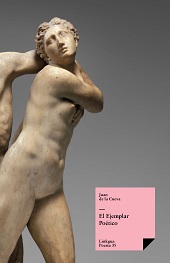 E-book, Ejemplar poético, Linkgua