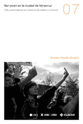 E-book, Ser joven en la ciudad de Veracruz : vida y participación en contextos de cambio y violencia, Treviño Ronzón, Ernesto, Consejo Latinoamericano de Ciencias Sociales