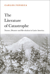 E-book, The Literature of Catastrophe, Fonseca, Carlos, Bloomsbury Publishing