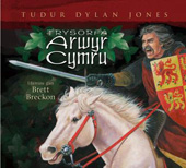 E-book, Trysorfa Arwyr Cymru, Casemate