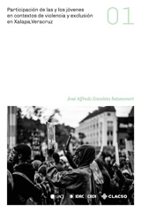 E-book, Participación de las y los jóvenes en contextos de violencia y exclusión en Xalapa, Veracruz, Consejo Latinoamericano de Ciencias Sociales