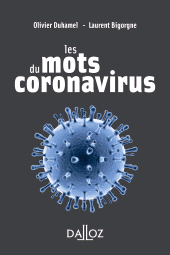 E-book, Les mots du coronavirus, Éditions Dalloz