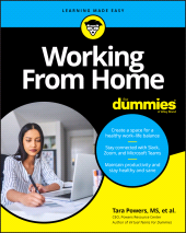E-book, Working From Home For Dummies, For Dummies