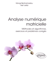 E-book, Analyse numérique matricielle : Méthodes et algorithmes, exercices et problèmes corrigés, Édition Marketing Ellipses