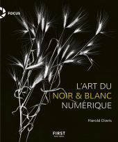 E-book, L'art du noir et blanc numérique, First Éditions