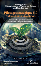 E-book, Pilotage stratégique 5.0 et durabilité des territoires : vers une intelligence des territoires adaptée aux changements disruptifs, Editions L'Harmattan