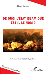 E-book, De quoi l'Etat islamique est-il le nom ?, L'Harmattan