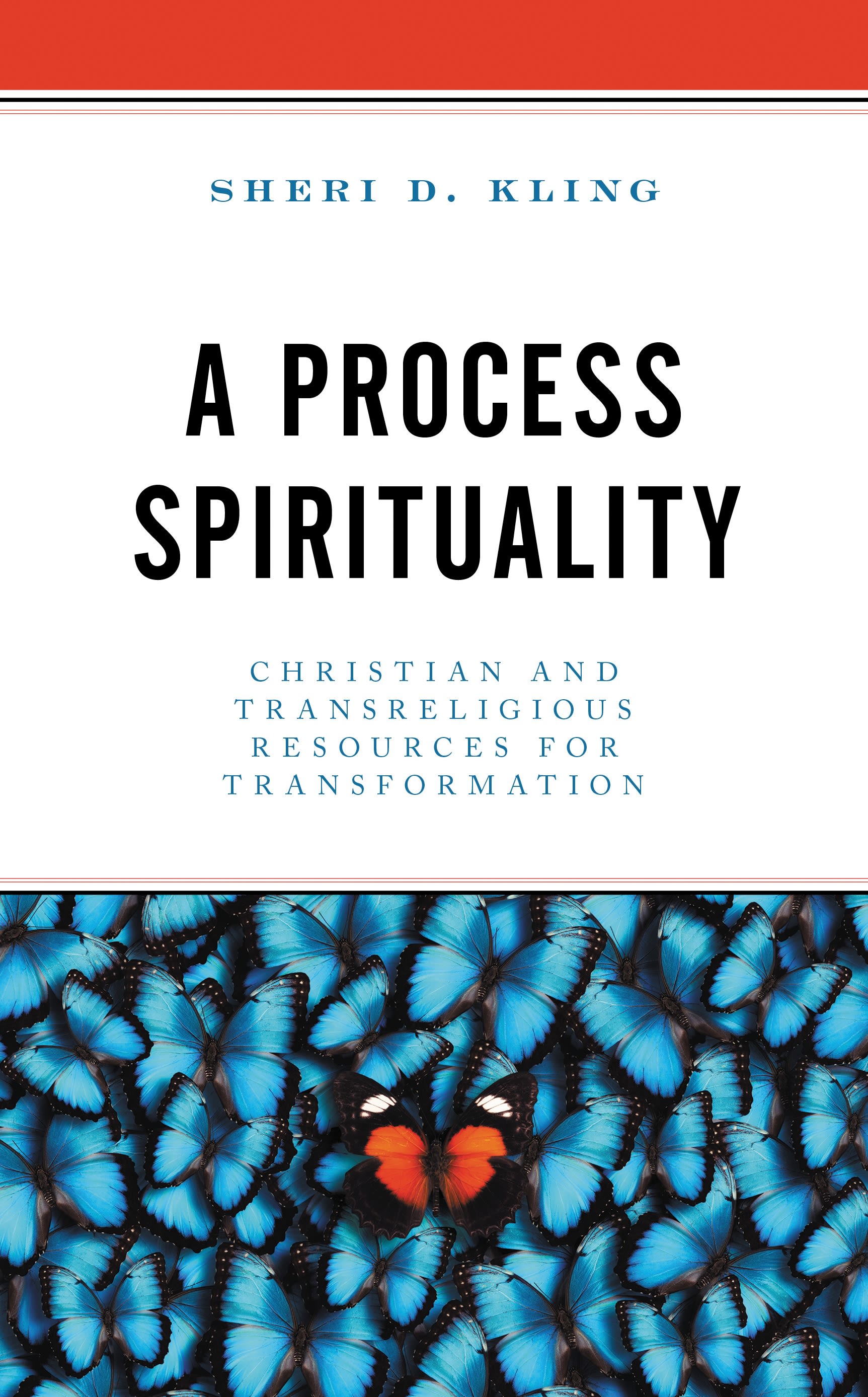 E-book, A Process Spirituality : Christian and Transreligious Resources for Transformation, Lexington Books