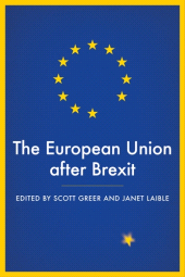 eBook, The European Union after Brexit, Manchester University Press