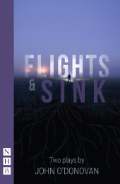 eBook, Flights and Sink: Two Plays, Nick Hern Books
