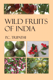 eBook, Wild Fruits of India, New India Publishing Agency