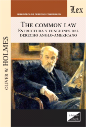 E-book, Common Law, Ediciones Olejnik