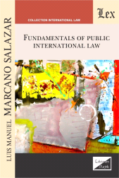 E-book, Fundamentals of public international law, Ediciones Olejnik