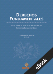 E-book, Derechos fundamentales : Actas de las V Jornadas Nacionales de Derechos Fundamentales, Palestra Editores