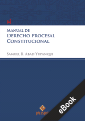 E-book, Manual de derecho procesal constitucional, Palestra Editores