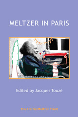 eBook, Meltzer in Paris, Phoenix Publishing House