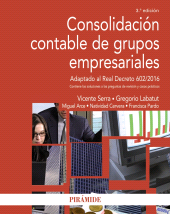 E-book, Consolidación contable de grupos empresariales, Ediciones Pirámide