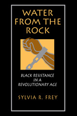 E-book, Water from the Rock : Black Resistance in a Revolutionary Age, Princeton University Press