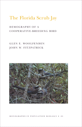E-book, The Florida Scrub Jay (MPB-20) : Demography of a Cooperative-Breeding Bird. (MPB-20), Princeton University Press