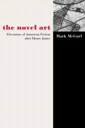 E-book, The Novel Art : Elevations of American Fiction after Henry James, Princeton University Press