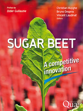 E-book, Sugar beet : A competitive innovation, Éditions Quae