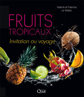 eBook, Fruits tropicaux : Invitation au voyage, Éditions Quae