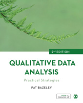 E-book, Qualitative Data Analysis : Practical Strategies, SAGE Publications Ltd