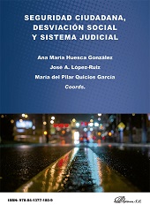 E-book, Seguridad ciudadana, desviación social y sistema judicial, Dykinson