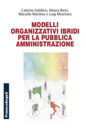 E-book, Modelli organizzativi ibridi per la pubblica amministrazione, Franco Angeli