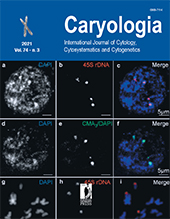 Fascículo, Caryologia : international journal of cytology, cytosystematics and cytogenetics : 74, 3, 2021, Firenze University Press