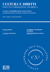 Fascicolo, Cultura e diritti : per una formazione giuridica : X, 1, 2021, Pisa University Press