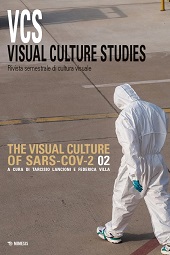 Articolo, Making visible the invisible work of scientists during the COVID-19 pandemic, Mimesis