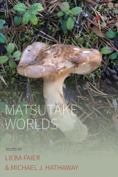 E-book, Matsutake Worlds, Berghahn Books