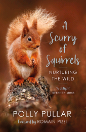 E-book, A Scurry of Squirrels : Nurturing The Wild, Birlinn