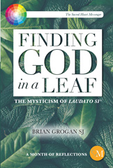 eBook, Finding God in a Leaf : The Mysticism of Laudato Si', Grogan, Brian, Casemate
