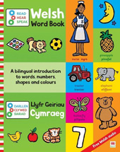 E-book, Darllen, Clywed, Siarad, Casemate Group