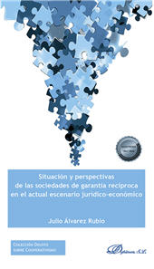 E-book, Situación y perspectivas de las sociedades de garantía recíproca en el actual escenario jurídico-económico, Dykinson