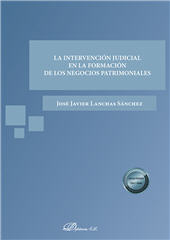 E-book, La intervención judicial en la formación de los negocios patrimoniales, Dykinson