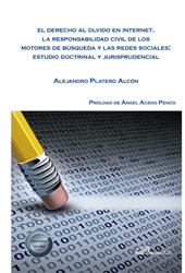 E-book, El derecho al olvido en internet : la responsabilidad civil de los motores de búsqueda y las redes sociales : estudio doctrinal y jurisprudencial, Dykinson