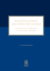 eBook, Instituciones sin fines de lucro : Corporaciones, fundaciones y asociaciones gremiales, Ediciones UC