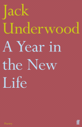 eBook, A Year in the New Life, Faber & Faber