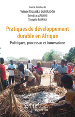 E-book, Pratiques de développement durable en Afrique : Politiques, processus et innovations, Rouamba-Ouedraogo, Valérie, L'Harmattan